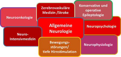 Fachspektrum Neurologie