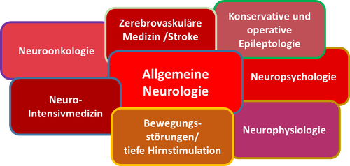 Fachspektrum Neurologie